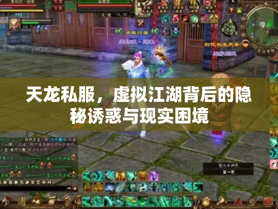 天龙私服，虚拟江湖背后的隐秘诱惑与现实困境