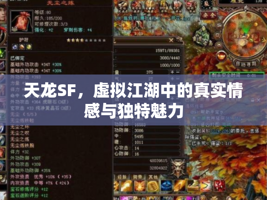天龙SF，虚拟江湖中的真实情感与独特魅力