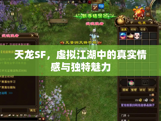 天龙SF，虚拟江湖中的真实情感与独特魅力