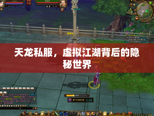 天龙私服，虚拟江湖背后的隐秘世界