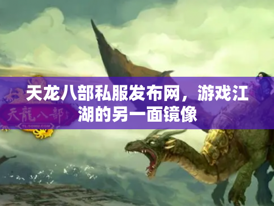 天龙八部私服发布网，游戏江湖的另一面镜像