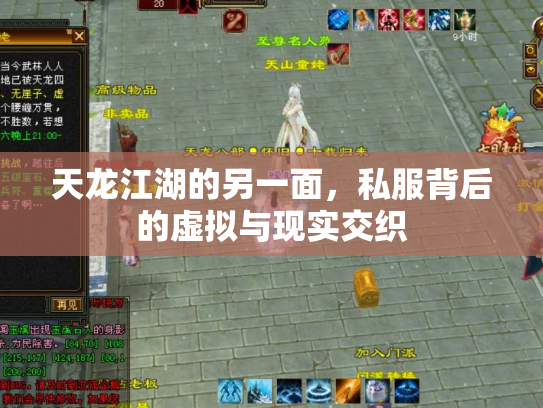 天龙江湖的另一面，私服背后的虚拟与现实交织