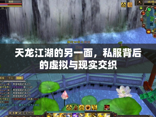 天龙江湖的另一面，私服背后的虚拟与现实交织