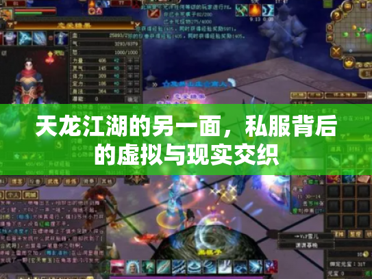 天龙江湖的另一面，私服背后的虚拟与现实交织