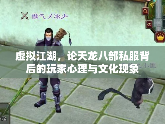 虚拟江湖，论天龙八部私服背后的玩家心理与文化现象