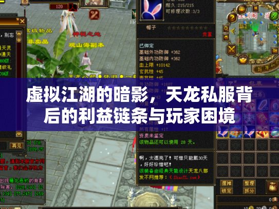 虚拟江湖的暗影，天龙私服背后的利益链条与玩家困境