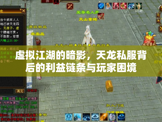 虚拟江湖的暗影，天龙私服背后的利益链条与玩家困境