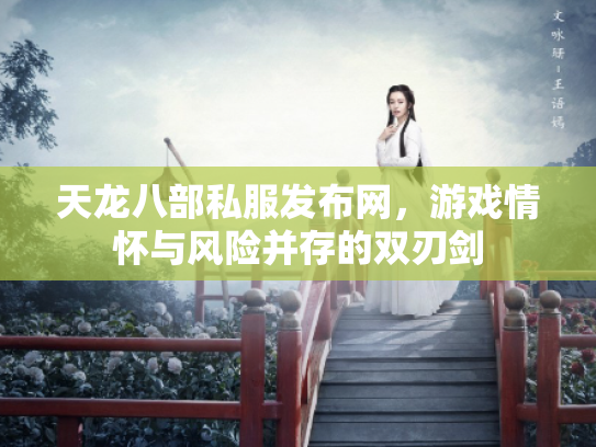 天龙八部私服发布网，游戏情怀与风险并存的双刃剑