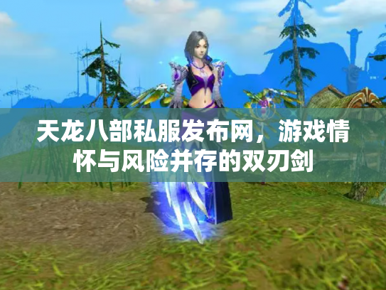 天龙八部私服发布网，游戏情怀与风险并存的双刃剑