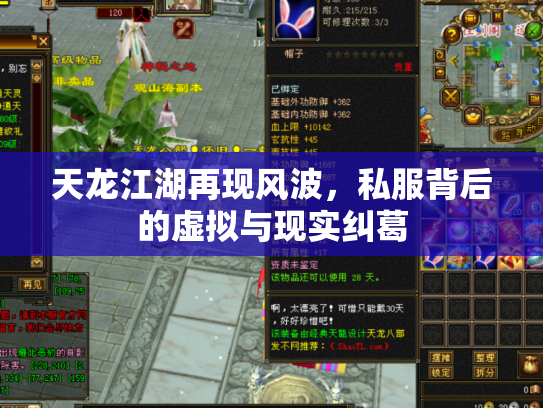 天龙江湖再现风波，私服背后的虚拟与现实纠葛