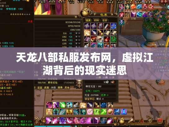 天龙八部私服发布网，虚拟江湖背后的现实迷思