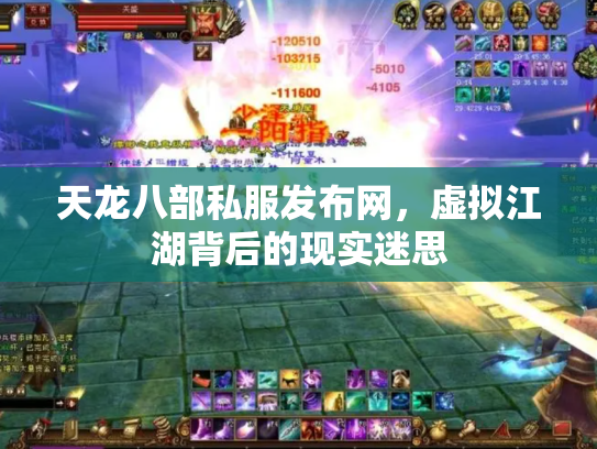 天龙八部私服发布网，虚拟江湖背后的现实迷思