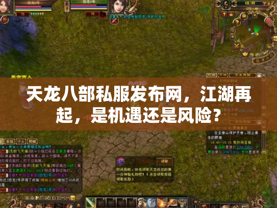 天龙八部私服发布网，江湖再起，是机遇还是风险？
