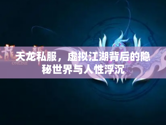 天龙私服，虚拟江湖背后的隐秘世界与人性浮沉