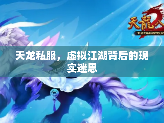 天龙私服，虚拟江湖背后的现实迷思