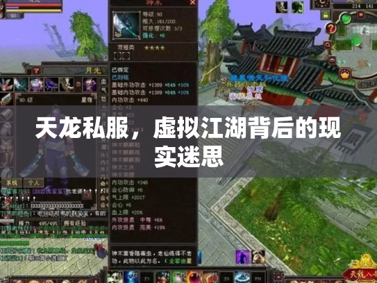 天龙私服，虚拟江湖背后的现实迷思