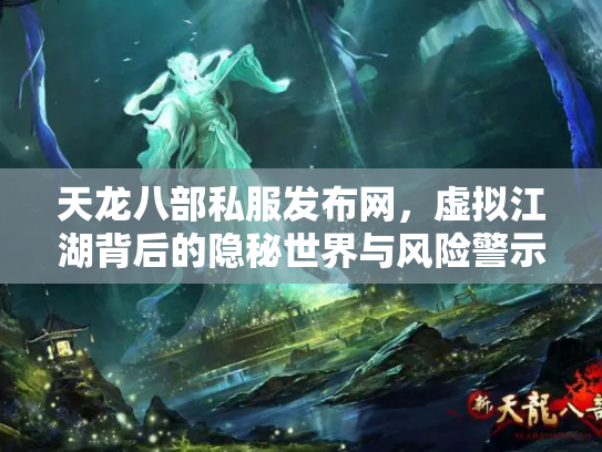 天龙八部私服发布网，虚拟江湖背后的隐秘世界与风险警示