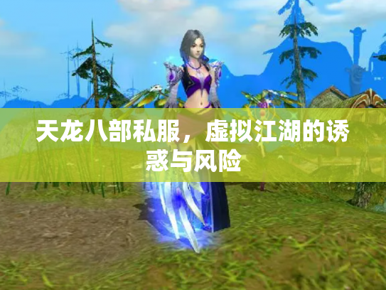 天龙八部私服，虚拟江湖的诱惑与风险