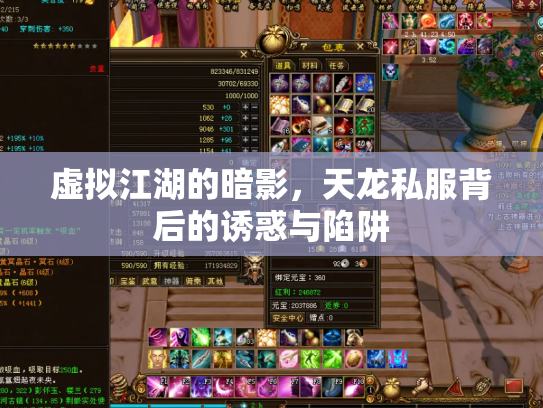 虚拟江湖的暗影，天龙私服背后的诱惑与陷阱
