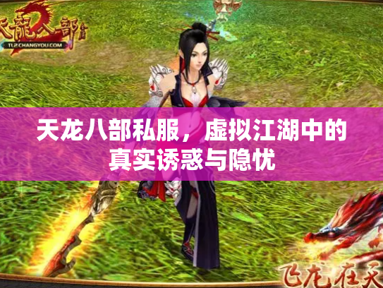 天龙八部私服，虚拟江湖中的真实诱惑与隐忧