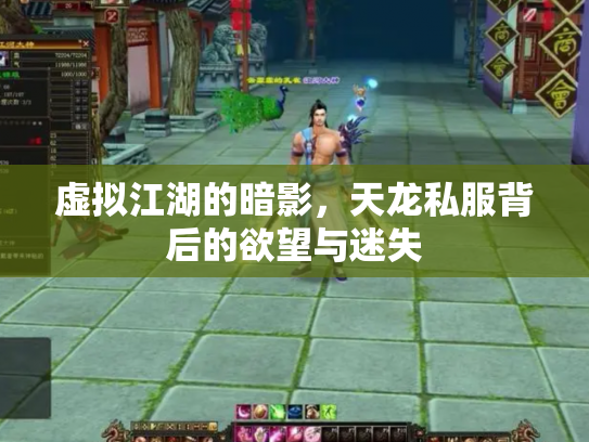 虚拟江湖的暗影，天龙私服背后的欲望与迷失
