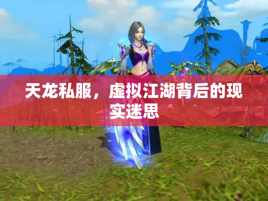 天龙私服，虚拟江湖背后的现实迷思
