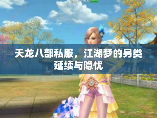 天龙八部私服，江湖梦的另类延续与隐忧