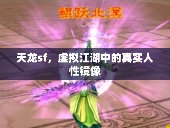 天龙sf，虚拟江湖中的真实人性镜像