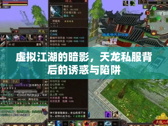 虚拟江湖的暗影，天龙私服背后的诱惑与陷阱