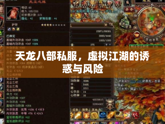 天龙八部私服，虚拟江湖的诱惑与风险