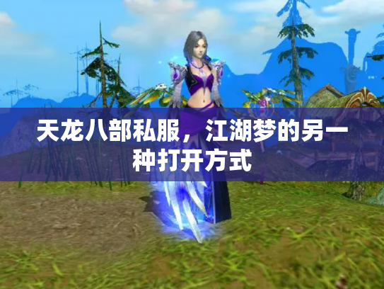天龙八部私服，江湖梦的另一种打开方式