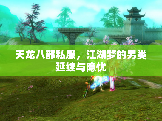 天龙八部私服，江湖梦的另类延续与隐忧