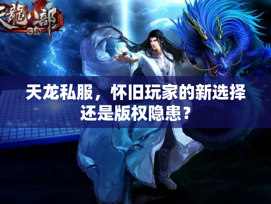 天龙私服，怀旧玩家的新选择还是版权隐患？