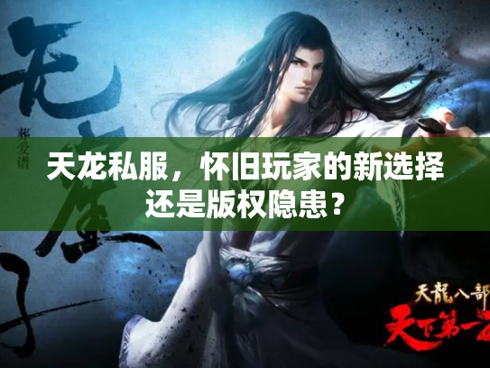 天龙私服，怀旧玩家的新选择还是版权隐患？