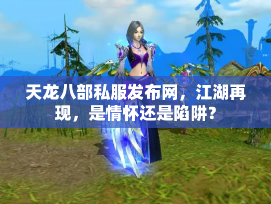 天龙八部私服发布网，江湖再现，是情怀还是陷阱？