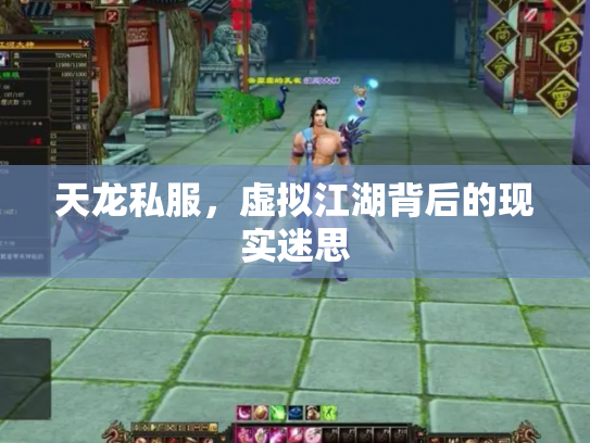 天龙私服，虚拟江湖背后的现实迷思