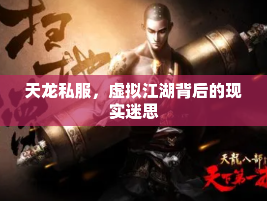 天龙私服，虚拟江湖背后的现实迷思