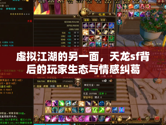 虚拟江湖的另一面，天龙sf背后的玩家生态与情感纠葛