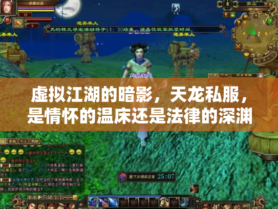 虚拟江湖的暗影，天龙私服，是情怀的温床还是法律的深渊？
