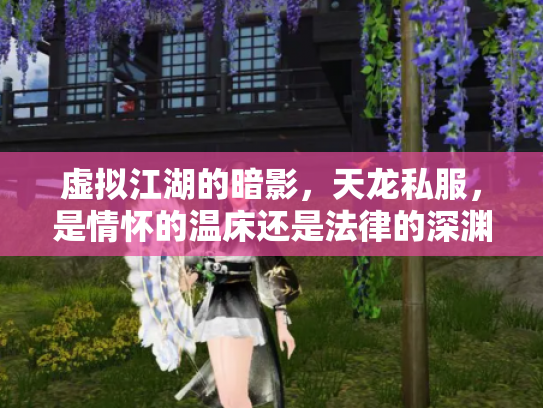 虚拟江湖的暗影，天龙私服，是情怀的温床还是法律的深渊？