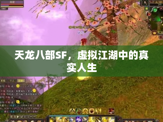 天龙八部SF，虚拟江湖中的真实人生
