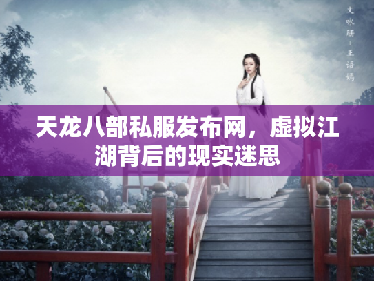 天龙八部私服发布网，虚拟江湖背后的现实迷思