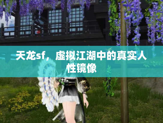 天龙sf，虚拟江湖中的真实人性镜像