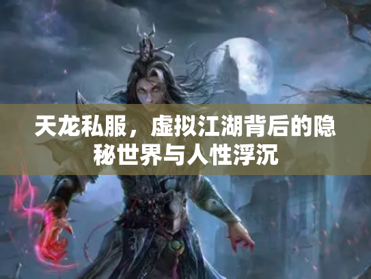 天龙私服，虚拟江湖背后的隐秘世界与人性浮沉