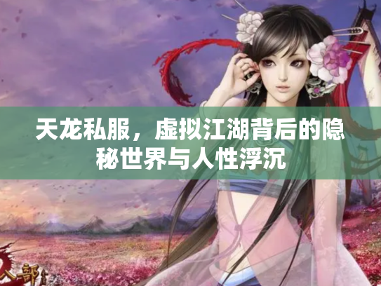 天龙私服，虚拟江湖背后的隐秘世界与人性浮沉