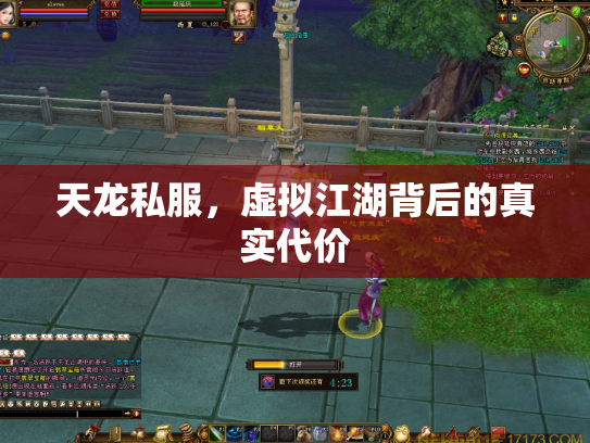 天龙私服，虚拟江湖背后的真实代价