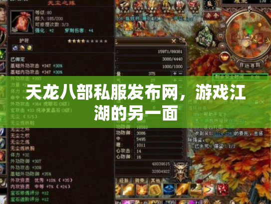 天龙八部私服发布网，游戏江湖的另一面