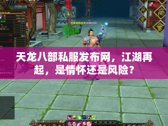 天龙八部私服发布网，江湖再起，是情怀还是风险？