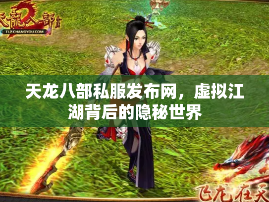 天龙八部私服发布网，虚拟江湖背后的隐秘世界