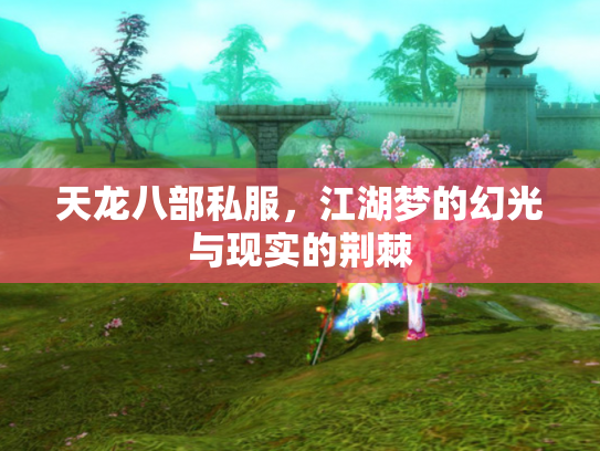 天龙八部私服，江湖梦的幻光与现实的荆棘